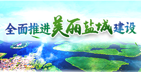 全面推进美丽盐城建设专题