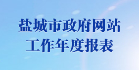 盐城市政府网站工作年度报表