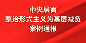 中央层面整治形式主义为基层减负案例通报