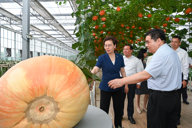 徐缨到响水县和黄海新区调研