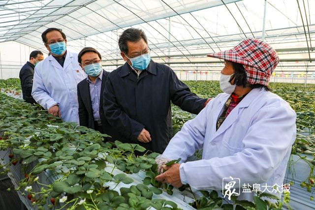 任振鹤先后来到盐都区大冈镇佳富村,射阳县特庸镇王村,建湖县冈西镇徐