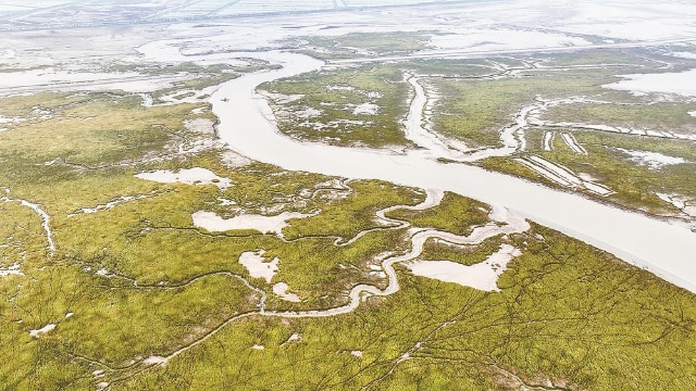 生态旅游景区巴斗村"渔港号子"表演初夏时节,黄海之滨的湿地滩涂绿意